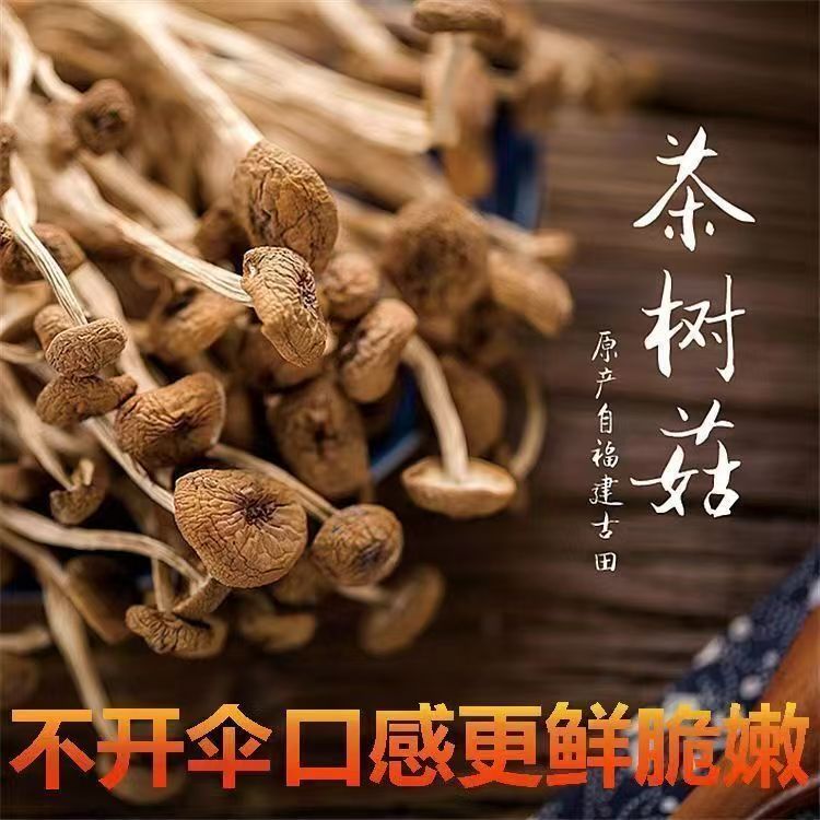 一级茶树菇干货干货500g特产长白山不开伞嫩茶树菇盖嫩蘑菇金针菇