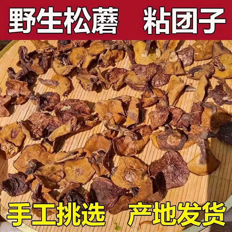 东北野生蘑菇干货粘团子松蛾子黑蘑菇特级黄松蘑东北特产天然松蘑