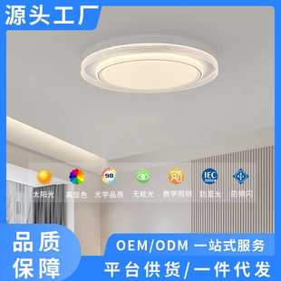 led卧室吸顶灯现代简约卧室灯具高级感创意圆形家用护眼房间主灯