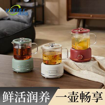 家用多功能小型养生壶迷你电炖杯办公室炖煮一体全自动电煮茶壶