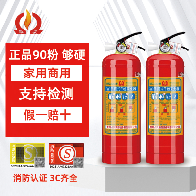 1KG车载灭火器车用家用2KG手提干粉国标小汽车年检年审私家车桥车