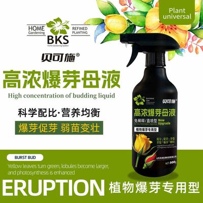 贝可施高浓爆芽母液多肉爆芽素促芽催芽叶插花植物多肉绿植营养液