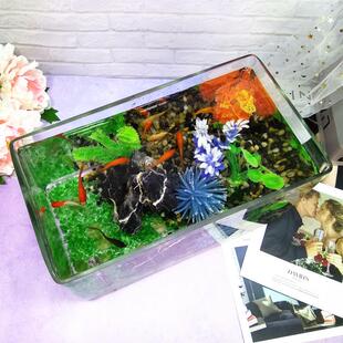 长方形桌面玻璃鱼缸一次成型无缝小型全身无粘接超白玻璃缸乌龟缸