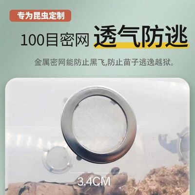 爬虫密网饲养盒防逃逸透气便携鼠妇蜈蚣跳蛛甲虫捕鸟蛛蟋蟀饲养箱