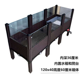 缘友之家黄缘龟专用缸 半水陆龟环境打造 黄缘闭壳龟生态饲养殖箱