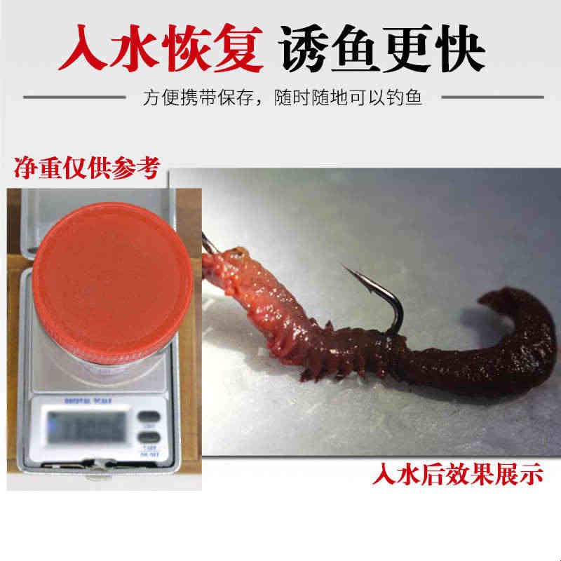 瓶装腌制沙蚕活沙蚕蜜制海蜈蚣海台钓饵