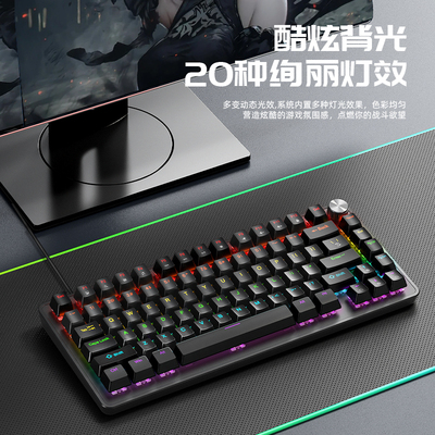 逸祺K82 RGB灯光机械键盘 青轴红轴有线电竞键盘 75配列小型款式