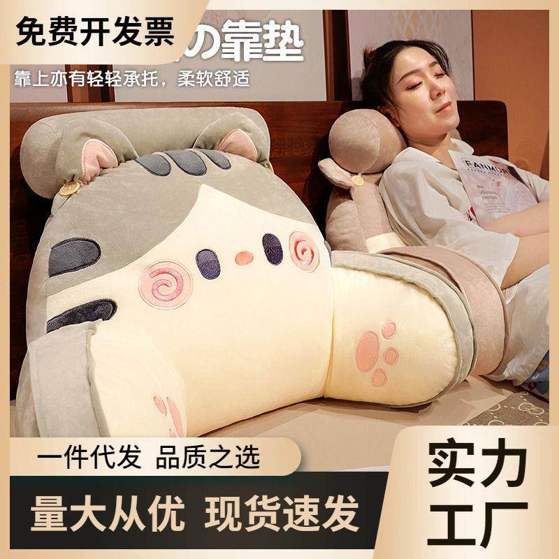 独立内胆可拆洗猫咪腰靠宿舍靠枕靠背沙发办公室久坐枕头床上看书