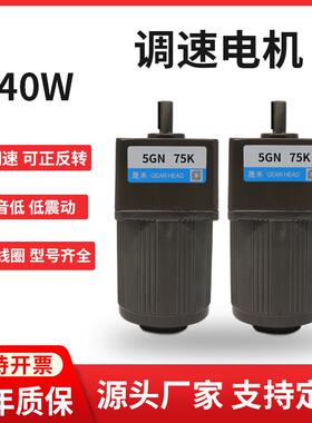 调速电机40W220V380V齿轮减速机灌肠机5IK40RGN-C可调变速小马达