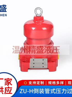 ZU-H倒装管式压力过滤器 不锈钢管式过滤设备 压力管路过滤器定制