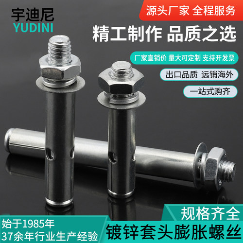 膨胀螺丝镀锌铁拉爆螺钉爆炸罗丝膨胀螺栓M6M8M10M12M14M16MZ18M2