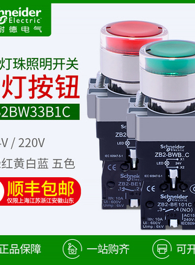 施耐德带灯平头按钮LED灯珠XB2BW33B1C 自复位照明开关TAC220V24V