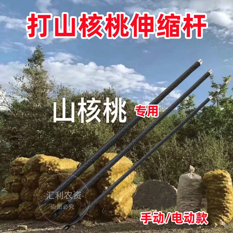 山核桃工具老树临安野生神器棒打C三核桃专用杆子竿电动够敲伸缩