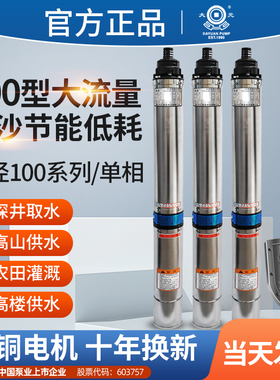 大元100QJD深井泵220vV不锈钢家用井用高扬程灌溉潜水泵螺杆抽水