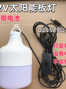 12伏专用LED灯泡DC55w21接头太阳能光伏板发电系统12V球泡