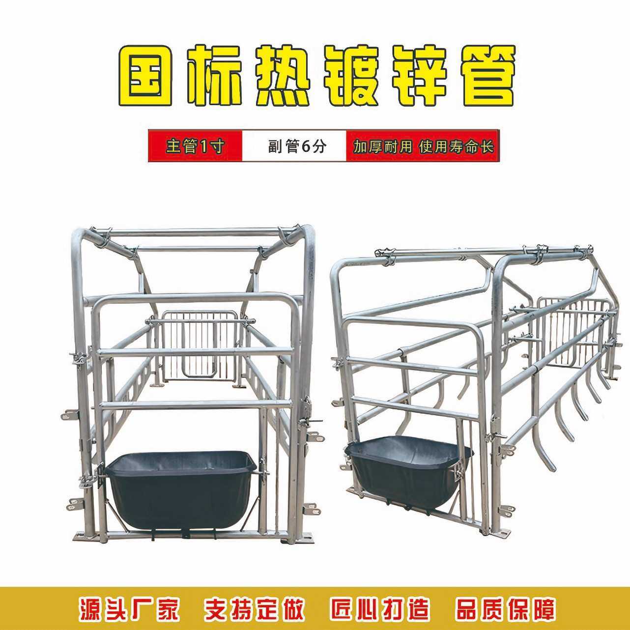 母猪限位栏落地式母猪定位栏带漏粪板镀锌猪场用畜牧养殖设备产床