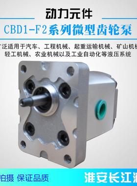 CBD1-F200系列高效液压齿轮油泵现货供应厂家直发长江液压