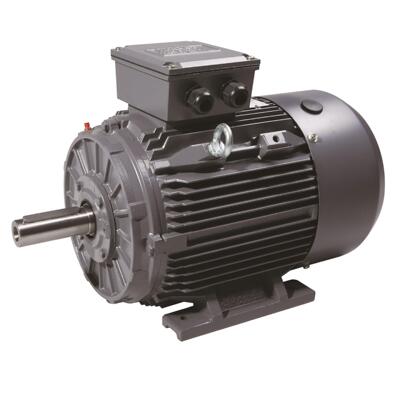 TECHTOP特波 三相电动机 1.1W 220V IEC标准电机 厂家直供