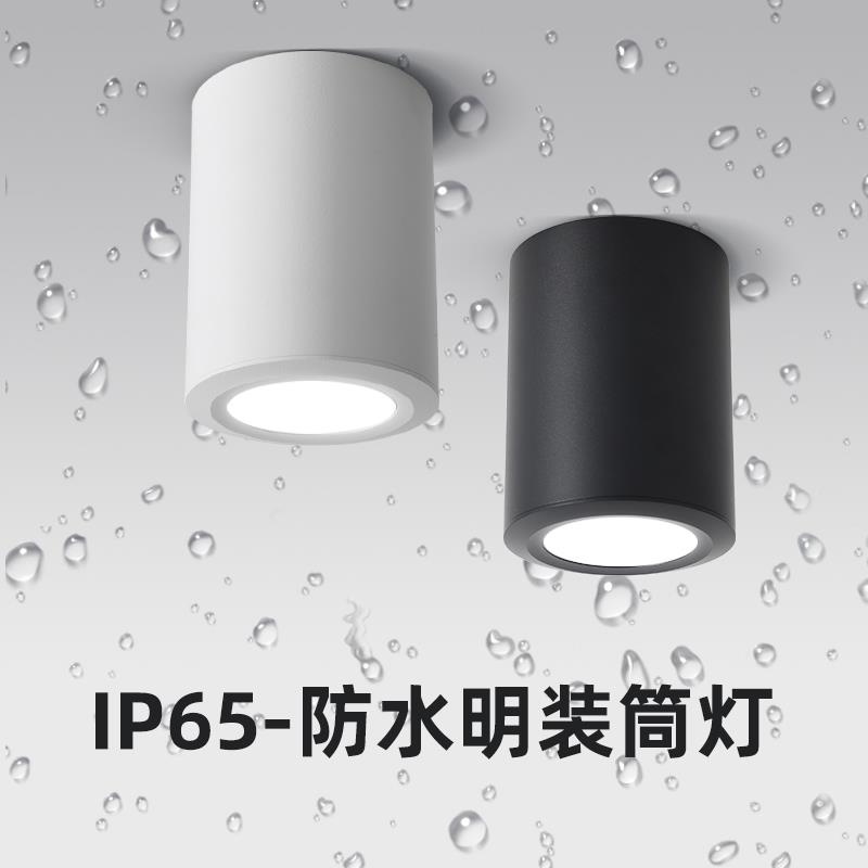 防水明装筒灯lP65室外阳台酒店雨棚灯店铺门头明装吸顶射灯圆形