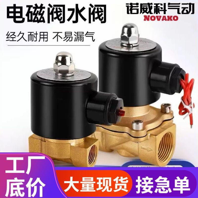 全铜2W常闭电磁水阀AC220气阀2分4分6分1寸DC24开关控制阀025-08