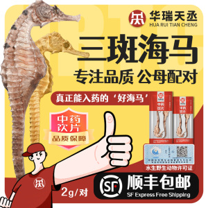 华瑞天丞三斑海马中药材泡酒海龙海马干货饮片一公一母配对煲汤料