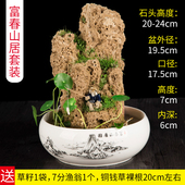 饰品园艺 假山盆景摆件配件小石头微景观水培盆栽装 上水石 吸水石