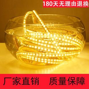 小象LED灯带5050防水60D超高亮七彩色客厅软光带线条灯条220V贴片