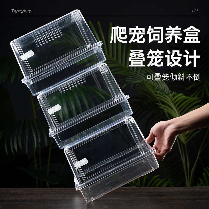 塑料爬虫饲养盒蜥蜴睫角守宫蛇角蛙甲虫蚕宝宝仓鼠窝爬宠箱爬缸透
