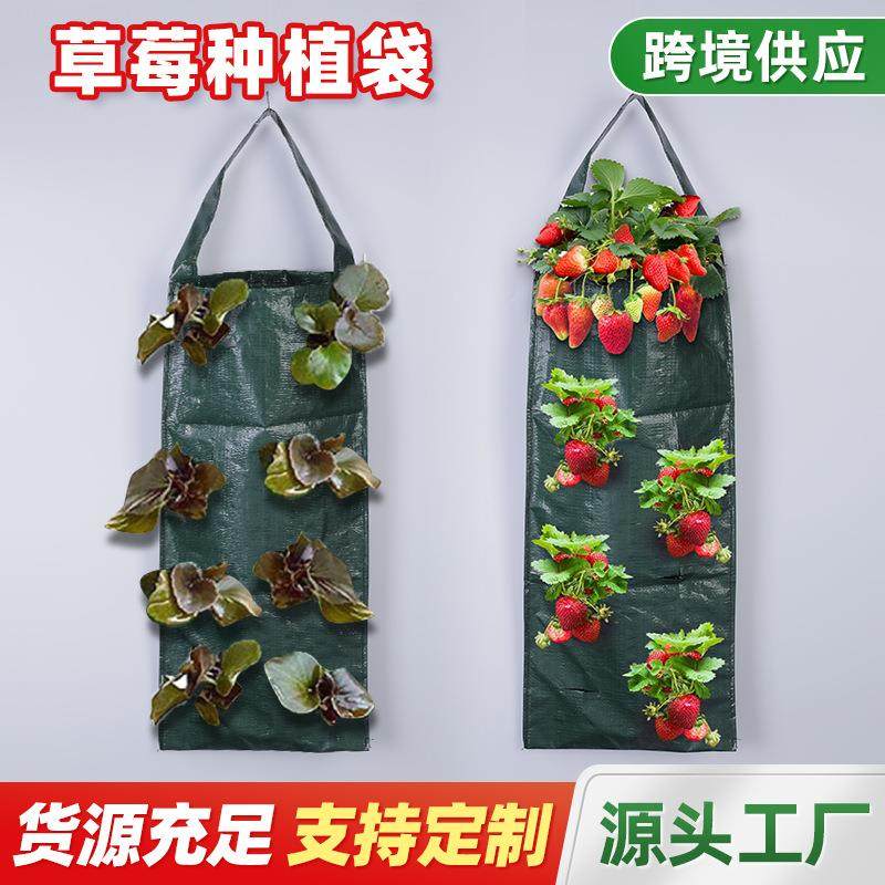 挂壁式简易黑色草莓种植袋 家庭阳台果蔬塑料种植袋 可折叠收纳袋