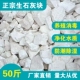 生石灰块粉50斤鱼塘消毒杀菌驱虫净水刷树养殖吸潮干燥剂土壤白灰
