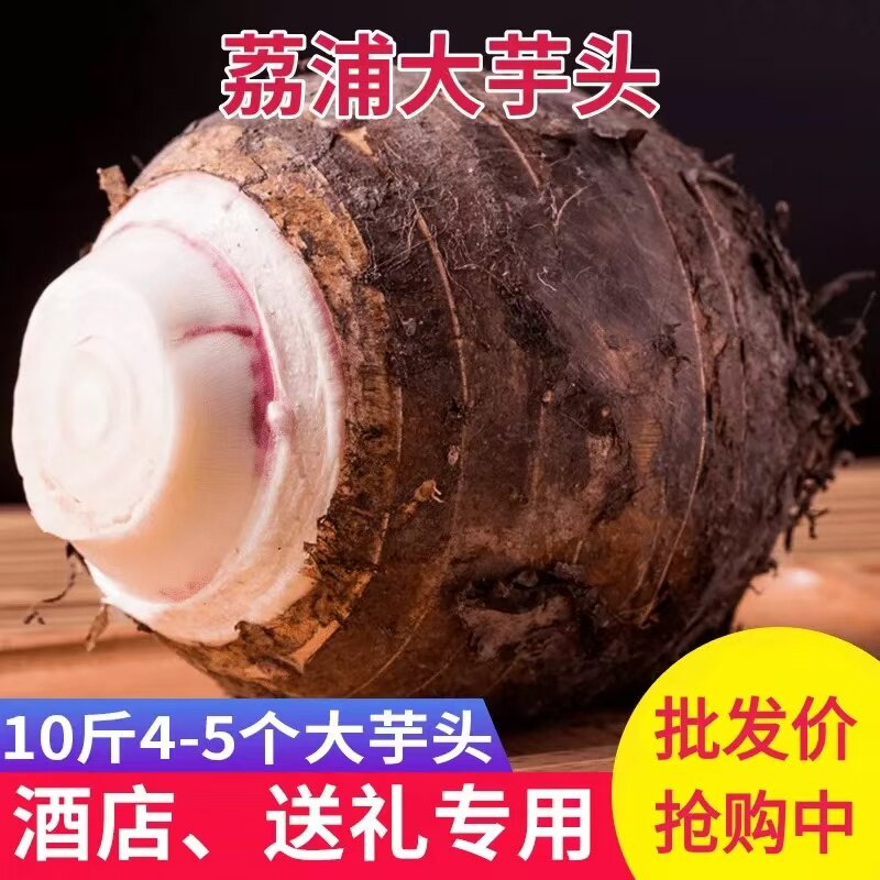 10斤装广西荔浦特大芋头粉糯香荔浦新鲜芋头现挖果王桂林特产香芋