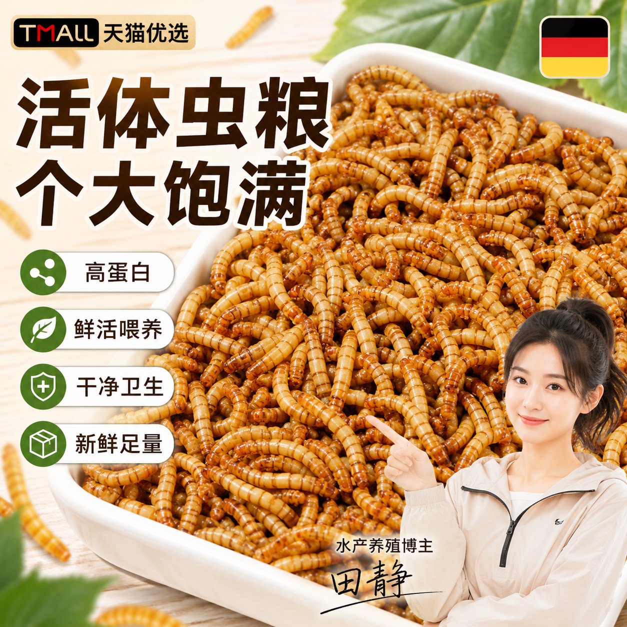 面包虫活虫黄粉体仓鼠蜘