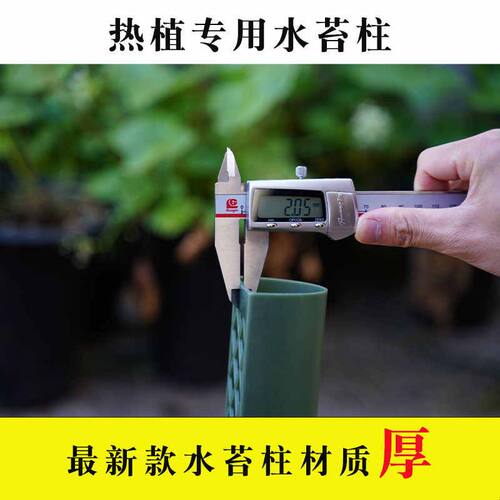 沃木达水苔柱龟背竹爬藤墙植物固定热植附生植物攀爬柱水台柱爬藤