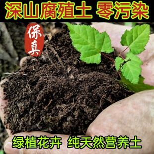 不板结透气营养土甘肃深山老林天然腐殖土种菜养花盆栽通用种菜土