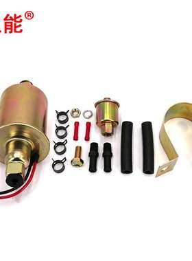 立能园林配件摩托车配件油泵E8012S FD0002 P60430, EP12S