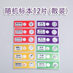 标本切片12片动物昆虫植物儿童显微镜动植物昆虫标本科学实验配件