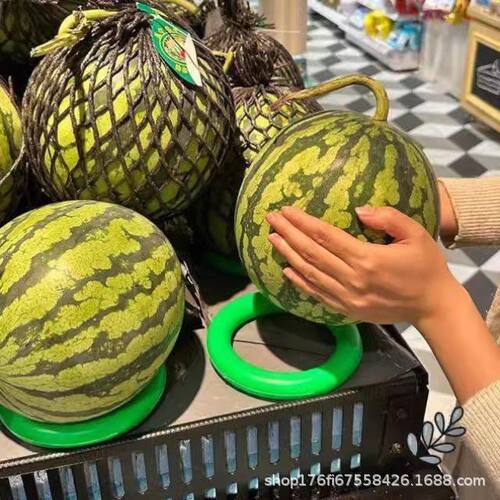 水果固定器放西瓜圈瓜托垫篮球托底座足球通用型塑料圆圈投掷套圈