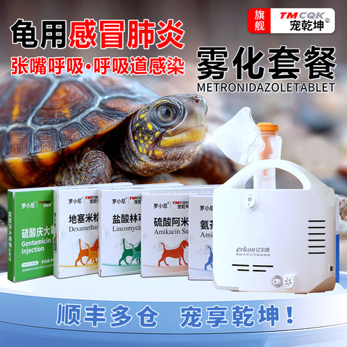 乌龟感冒肺炎药浮水张嘴叫喘
