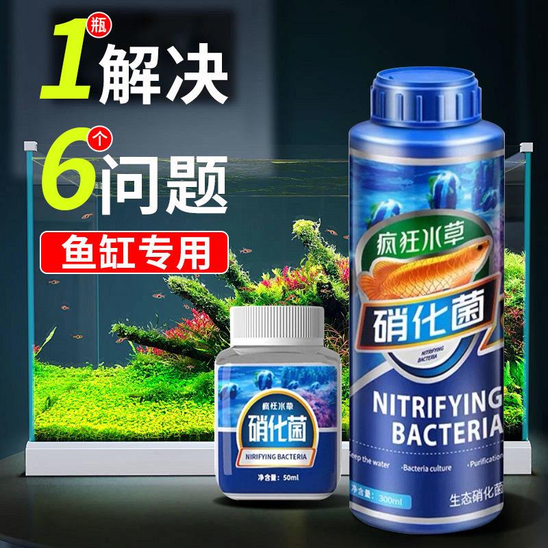 疯狂水草硝化细菌鱼缸专用养鱼水质稳定消化细菌鱼用开缸水剂用品