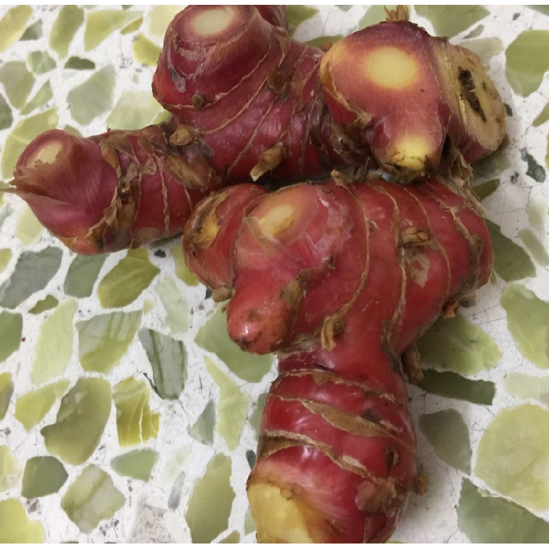 南姜新鲜 潮汕南姜块 芦苇姜山姜羊肉牛肉卤味冬荫功汤包邮免运费,水产肉类/新鲜蔬果/熟食,其它,淘宝优惠券,粉丝福利购,淘宝优惠卷