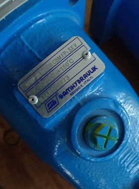 意大利DUPLOMATIC迪普马齿轮油泵GP20070R97F20N