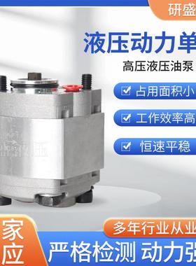 高压齿轮泵高压液压油泵动力单元齿轮泵AP1001.2液压泵双向齿轮泵