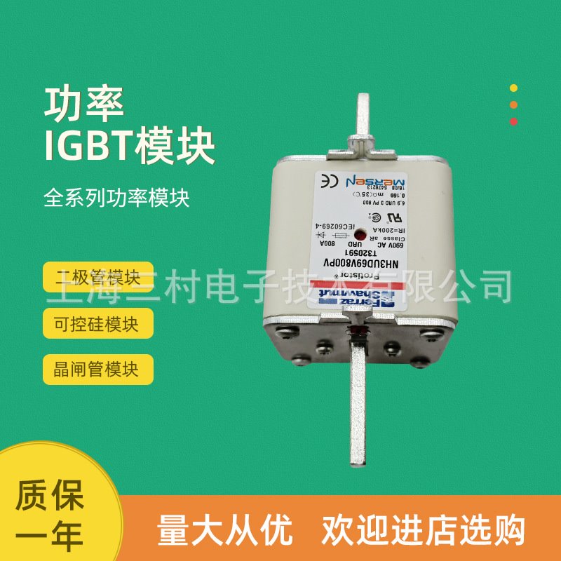 全新熔断器保险丝NH0GG69V16 F228464 NH0GG69V20 G228465