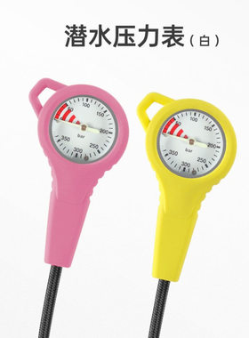 DIDEEP金属潜水残压表残压管编织碳纤维夜光压力表BCD钢表高压管