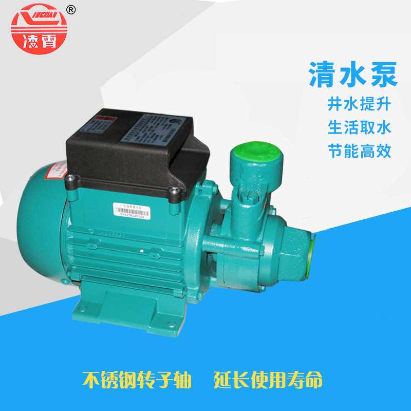 凌霄水泵1DB35/45/65-B经济型全铜高扬程清水泵农用灌溉抽水机