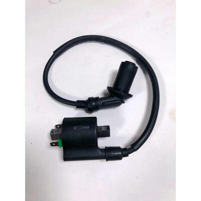 国四电喷豪迈125/150本沺摩托车东踏板点火线圈带帽原装高压包