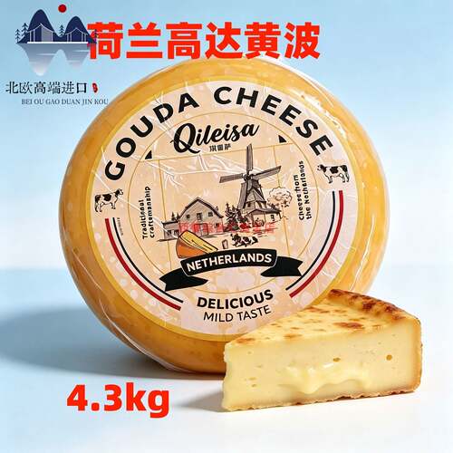 荷兰进口高达奶酪黄波芝士4.3kg整轮Gouda豪达芝士商用原制干酪