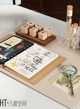 样板房书房书桌软装摆件花艺儿童房昆虫植物干花标本主题装饰品