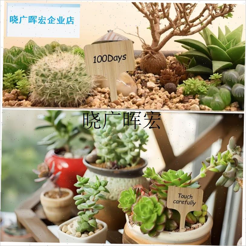 木质园艺标签花卉植物标签插地标牌防水播种Q育苗记录幼儿园指示l