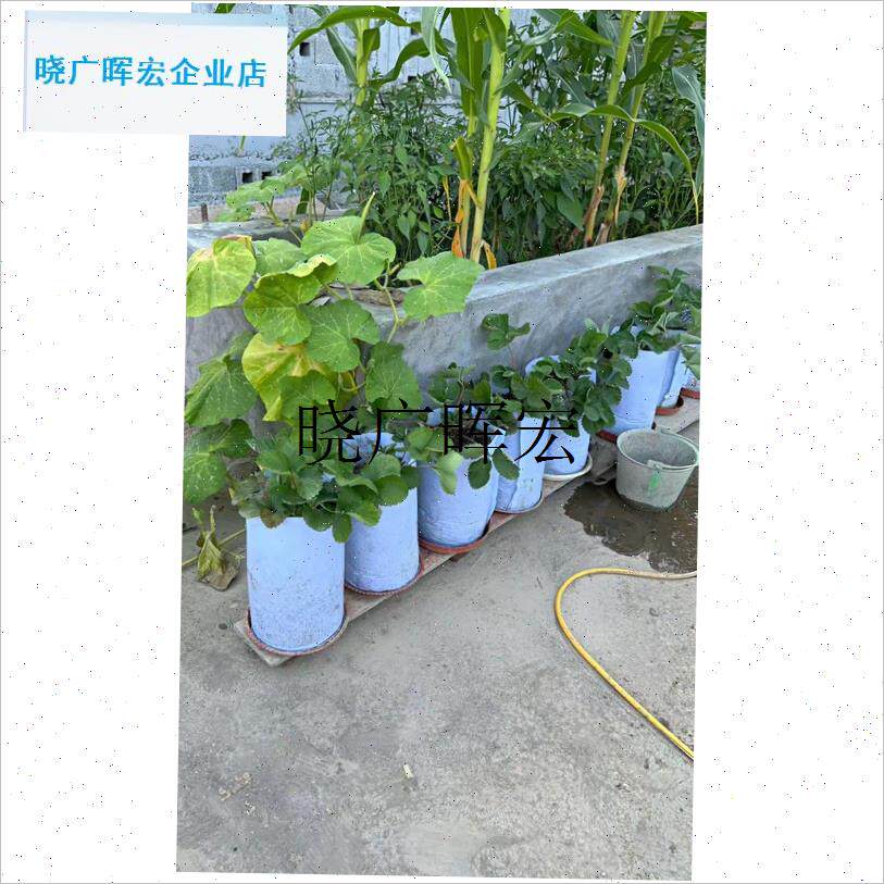 高筒植树袋种植袋无纺q布花盆美植袋脐橙柑橘月季移植袋加高提根l